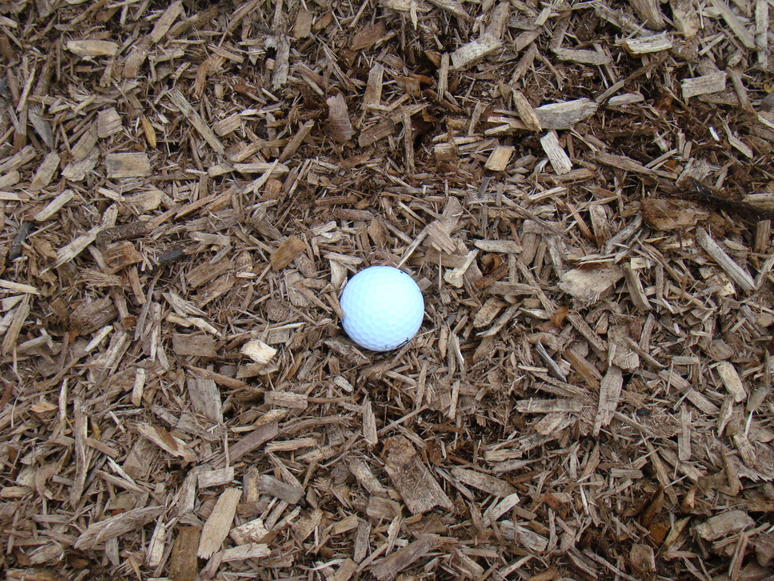 Mulch